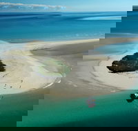 Turtle Discovery - Darwin Holiday