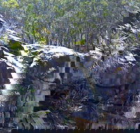 Ugly Corner Falls Walking Track - Darwin Holiday