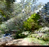 Wadbilliga Road drive - Darwin Holiday