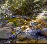Washpool Walking Track - Darwin Holiday