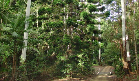 Way Way Creek Road Drive - Darwin Holiday 0