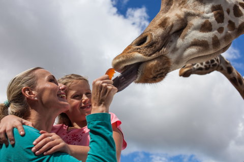 Werribee Open Range Zoo - Darwin Holiday 2