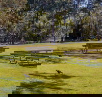 Wombeyan picnic area - Darwin Holiday