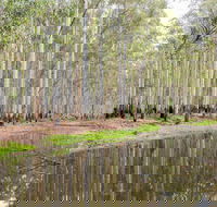 Wonga Wetlands - Darwin Holiday