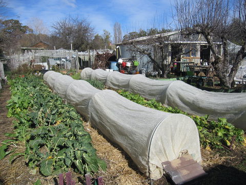 Wynlen House: Tour A Unique Urban Regenerative Farm And Market Garden - Darwin Holiday 0