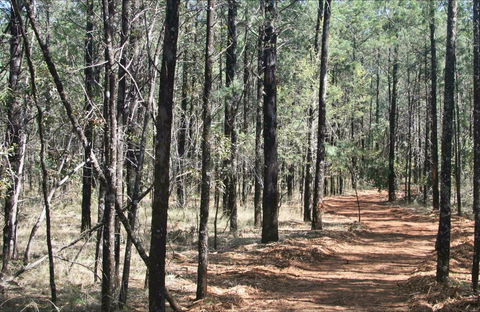 Yana-y Warruwi Walking Track - Darwin Holiday 0