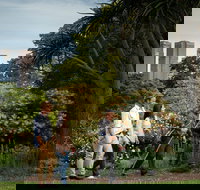 Aboriginal Heritage Walk - Darwin Holiday