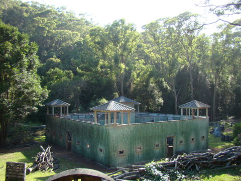 Alpha Paintball - Darwin Holiday 0