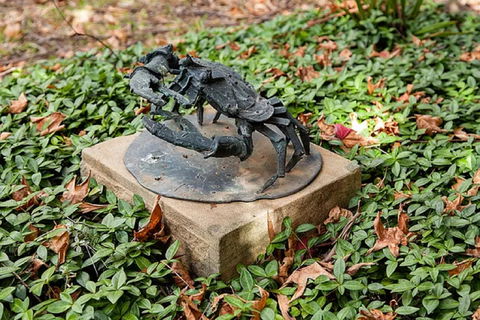 Antony Symons - Retrospective Of A Life's Work - Darwin Holiday 0