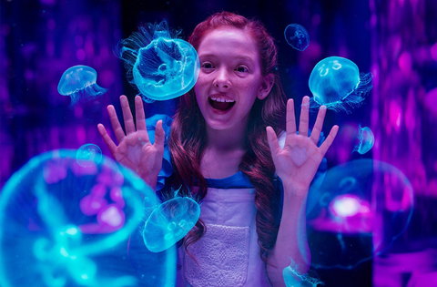 Australia's Sea World - Darwin Holiday 0