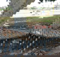 Barcaldine Musical Instruments - Darwin Holiday
