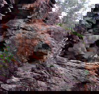 Bertha's Gully Walking Track - Darwin Holiday