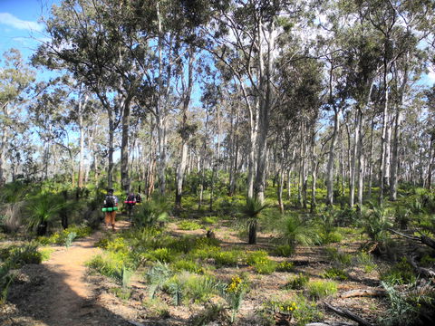 Bibbulmun Track - Darwin Holiday 1
