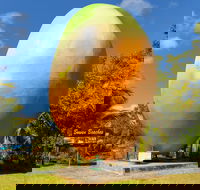 Big Mango - Darwin Holiday
