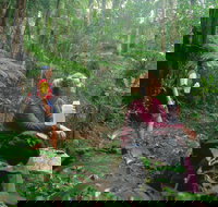 Binna Burra Lamington National Park - Darwin Holiday