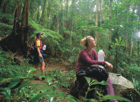 Binna Burra, Lamington National Park - Darwin Holiday 0