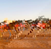 Broken Hill Camels - Darwin Holiday