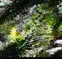 Byrrill Creek Walking Track - Darwin Holiday