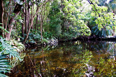 Cascade Gardens - Darwin Holiday 2