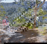 Caves circuit Lamington National Park - Darwin Holiday