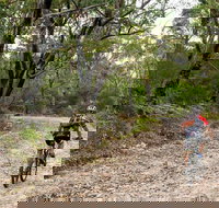 Cawleys Road trail - Darwin Holiday
