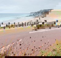 Coast to Vines Rail Trail