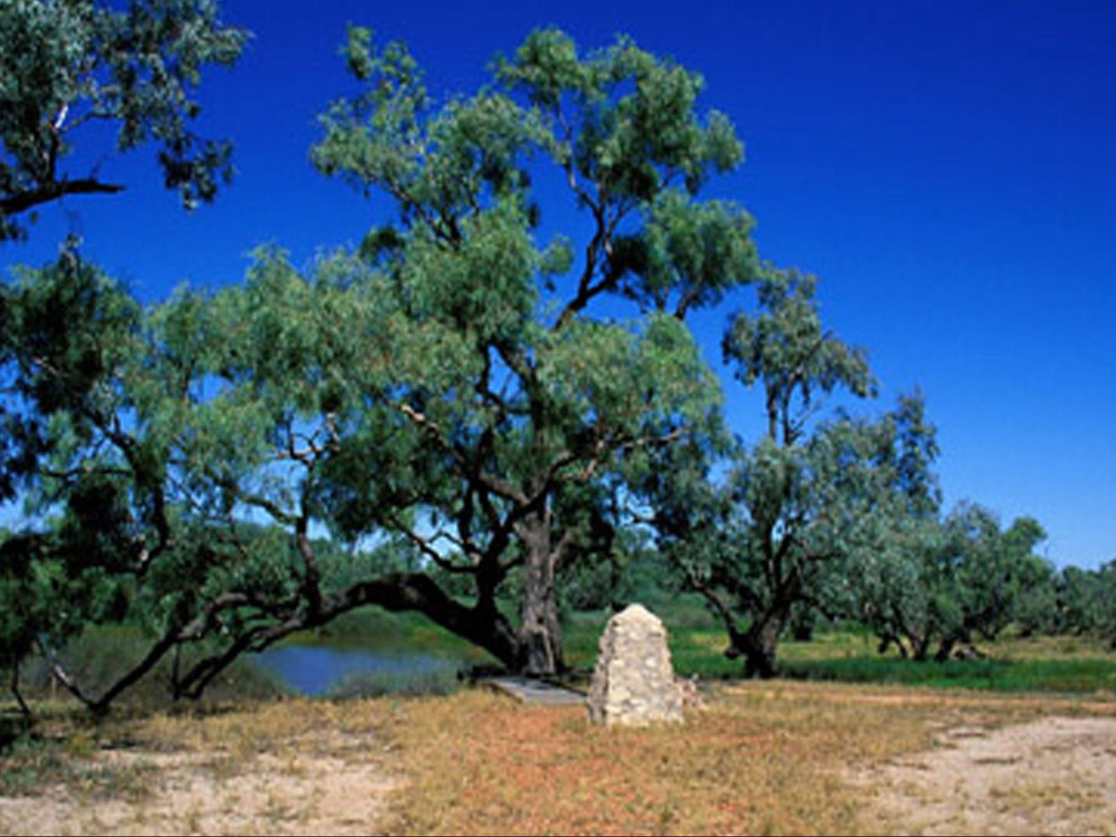 Comet QLD Darwin Holiday