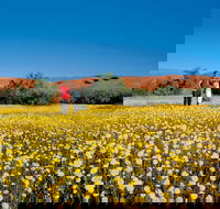 Coorow Farm Wildflower Trail - Darwin Holiday