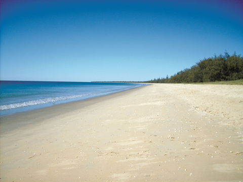 Coral Coast Pathways (Woodgate Beach Section) - Darwin Holiday 0