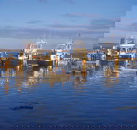 Denham - Darwin Holiday