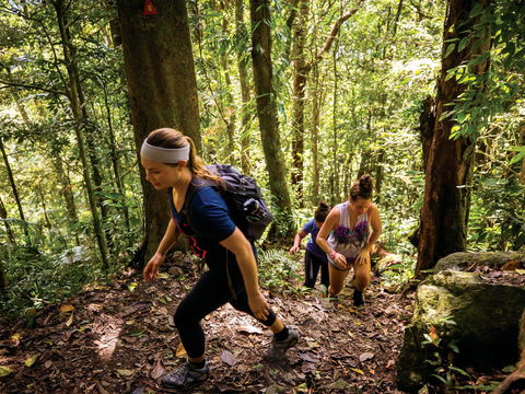 Devils Thumb (Manjal Jimalji) Trail - Darwin Holiday 0