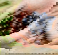 Eat Pick Grow Trail - Wanneroo and Chittering - Darwin Holiday