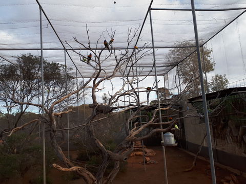 Eyre Reptile & Wildlife Park - Darwin Holiday 2