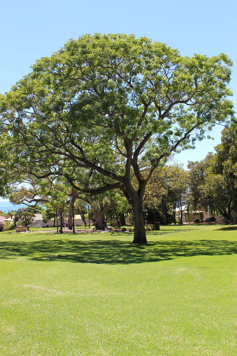Flinders Park Playground - Darwin Holiday 0