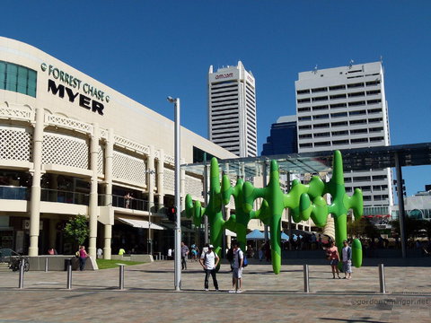 Forrest Chase - Darwin Holiday 0