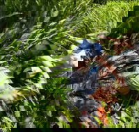 Georges Head - Darwin Holiday