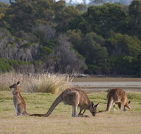 Great Nature Trail - Darwin Holiday