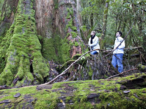 Hastings Caves And Thermal Springs - Darwin Holiday 2