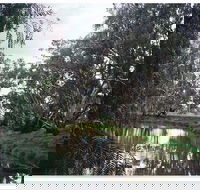 Henty Government Dam Nature Reserve - Darwin Holiday