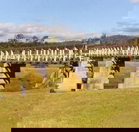 Historic Tabulam DeBurgh Timber Bridge - Darwin Holiday