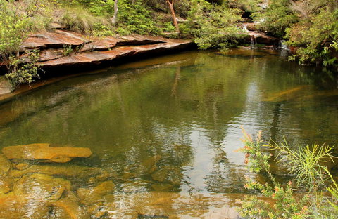 Hominy Creek Walking Track - Darwin Holiday 0