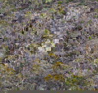 Horsnell Gully and Giles Conservation Parks - Darwin Holiday