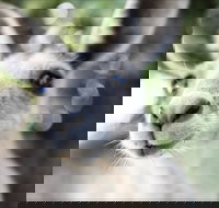 John Egan Pioneer Track - Darwin Holiday