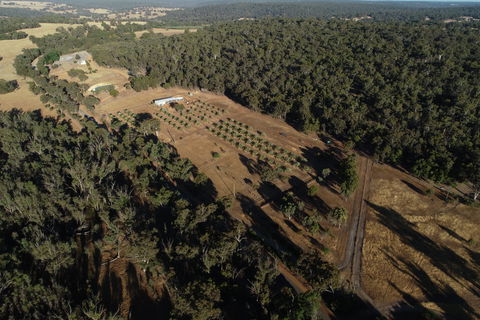 Julimar Date Garden - Darwin Holiday 0