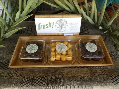 Julimar Date Garden - Darwin Holiday 1