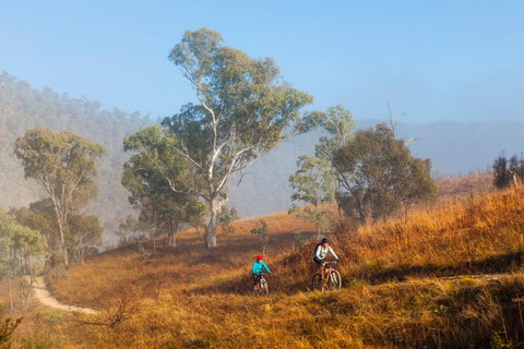 Kambah Pool To Pine Island Walking Trail - Darwin Holiday 0