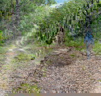 Kangaroo River Walking Track