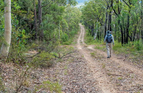 Kangaroo River Walking Track - Darwin Holiday 0