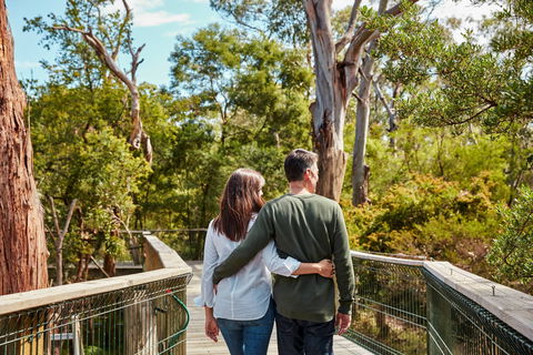 Koala Conservation Reserve - Darwin Holiday 2