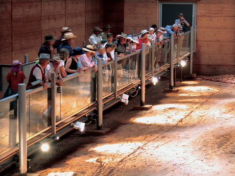 Lark Quarry Conservation Park - Darwin Holiday 0